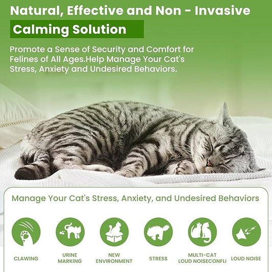6 Pack Plug in Cat Calming Diffuser Kit, Cat Pheromone Calming Diffuser Starter Helps Ruduce Anxious, Anti-Stress & Comforts Cats (2 Diffuser + 6 Refills)
